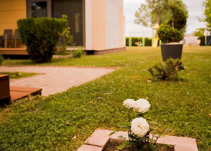 Resort Enigma Mamaia