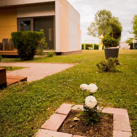 Feriested Enigma Mamaia